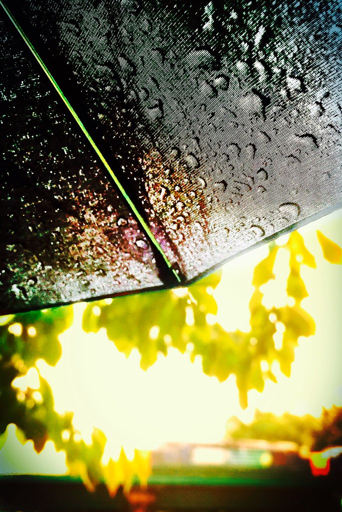 梅雨の暮らしを楽しむ|傘をさして雨の日を歩く